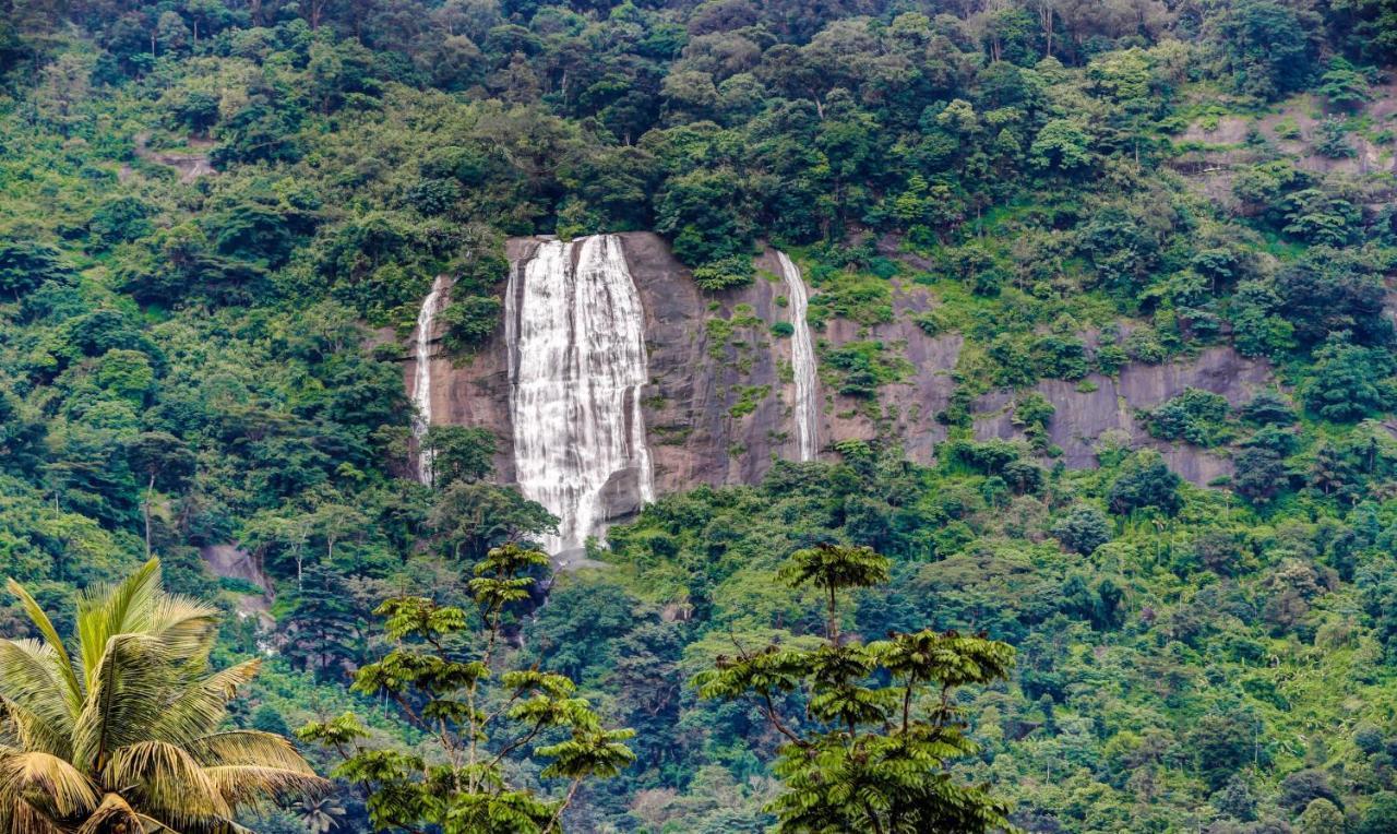 Treebo Trend Misty Garden Resorts With Mountain View Munnar Exteriör bild